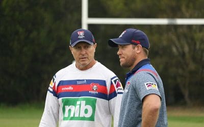 Savige pest control ipswich jets and newcastle knight join forces