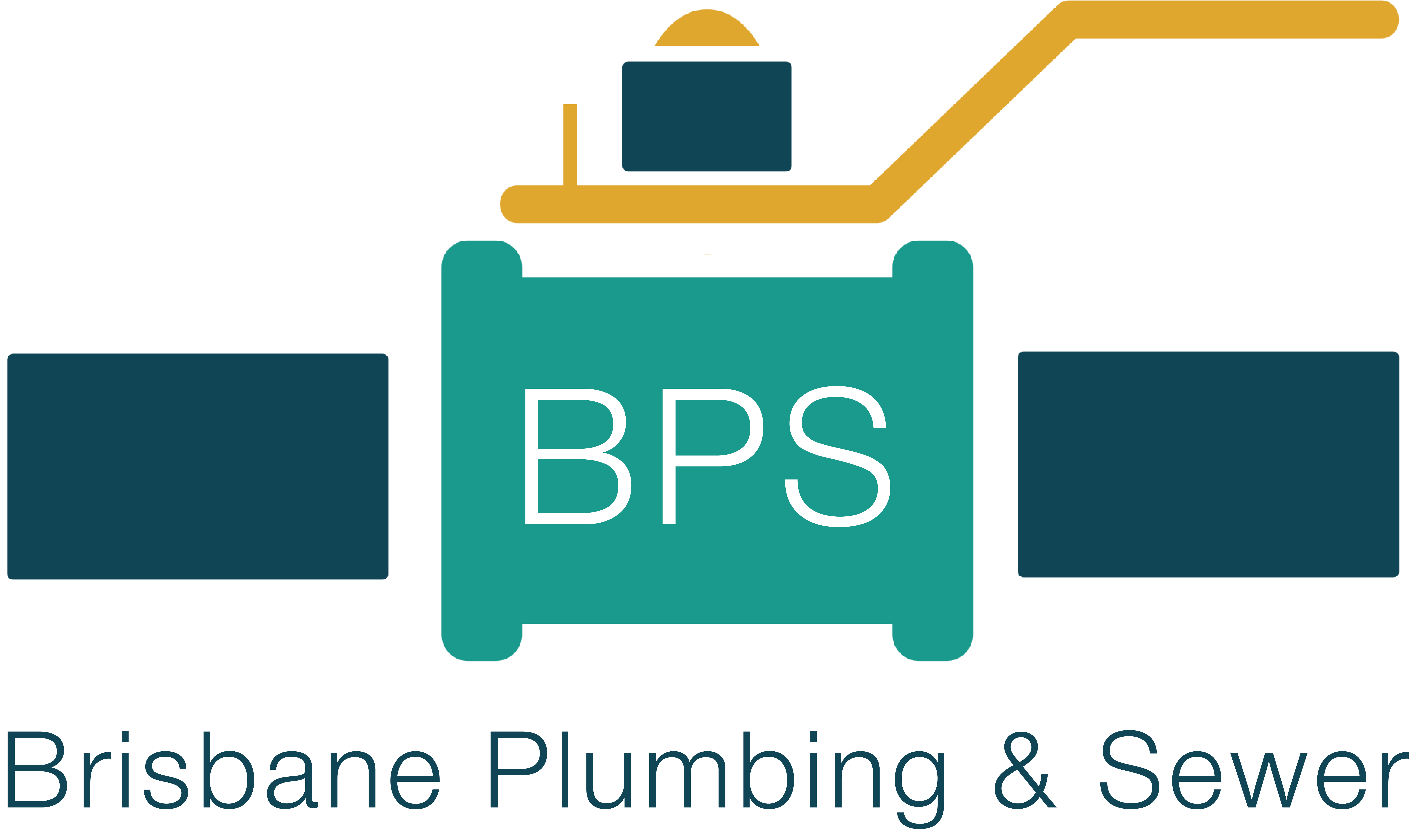 BPS logo vector (002)